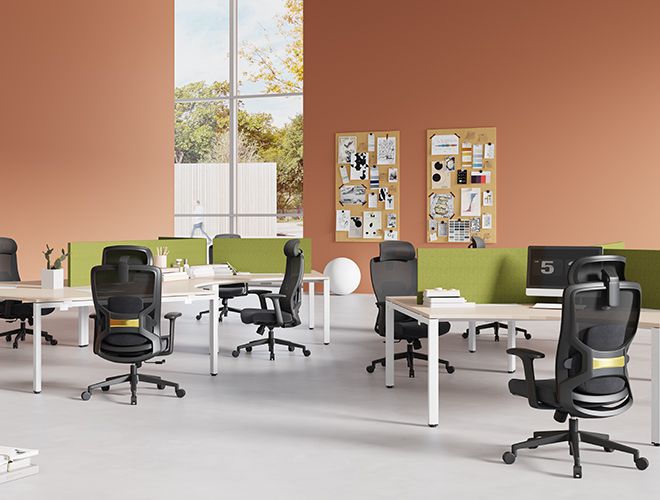 Produzione di sedie economiche per il pubblico